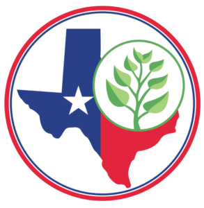 state of texas icon